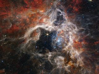 thumbnail - Gravité, Information, Physique