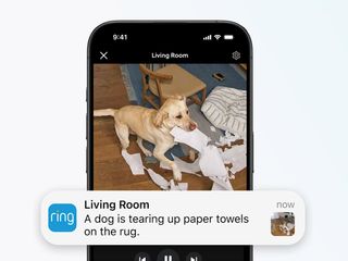 thumbnail - Alertes IA Ring